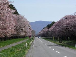 4月の北海道