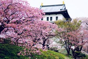 5月の北海道